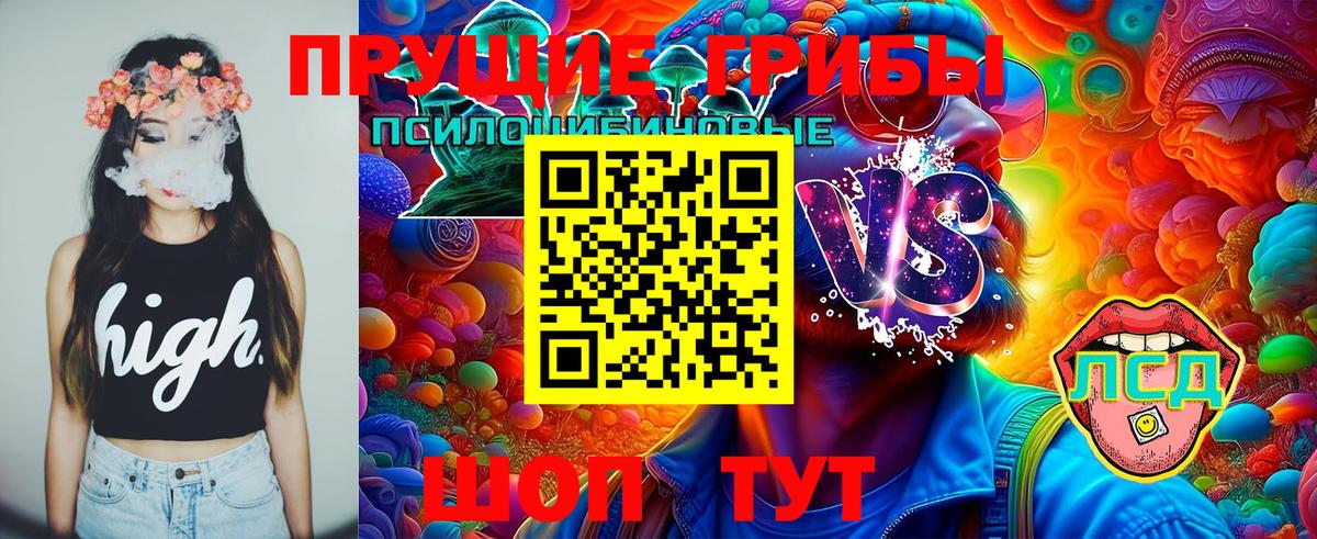 Бутурлиновка  Галлюциногенные грибы прущие грибы  Вход с VPN 